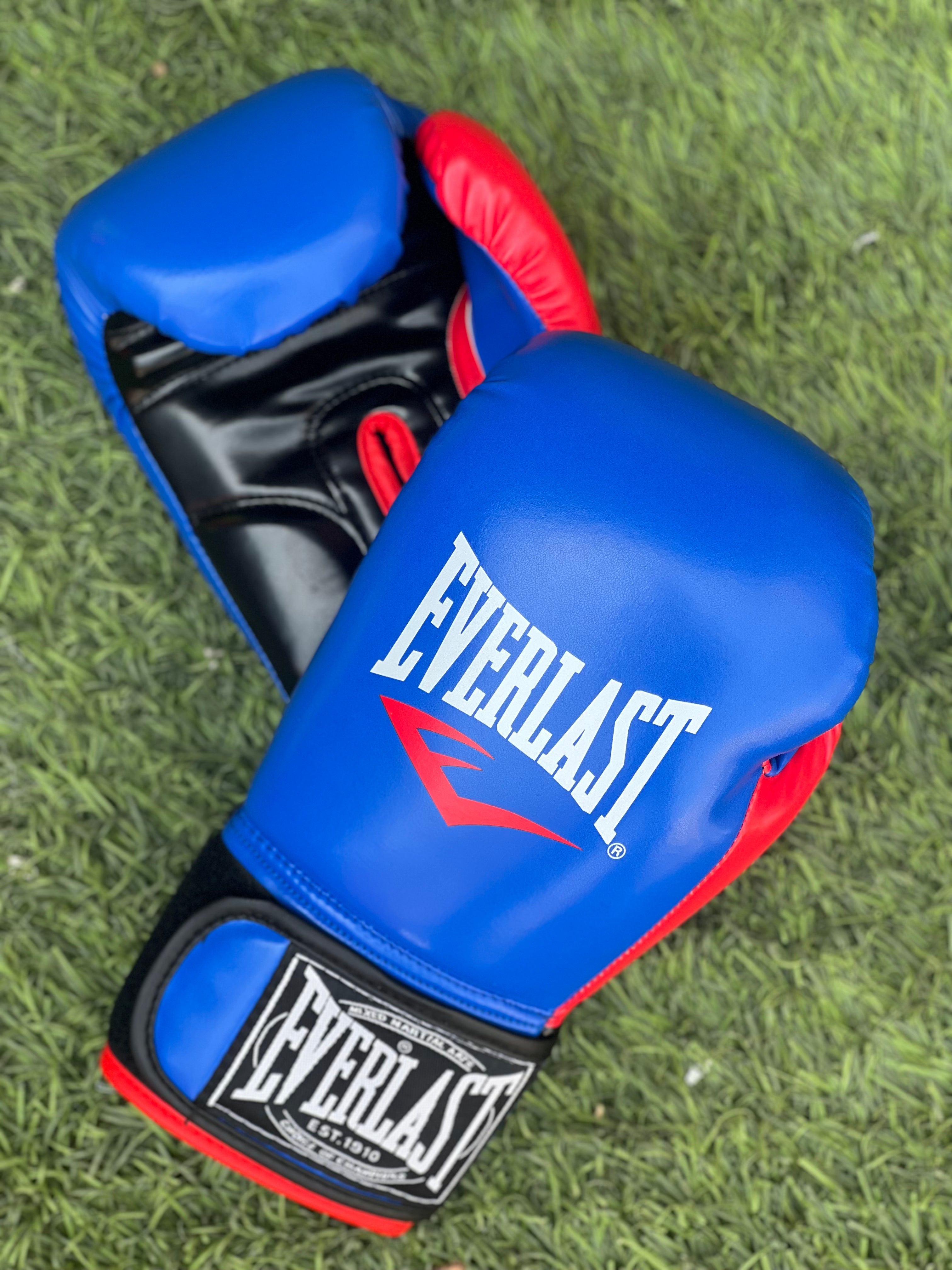 Gant De Boxe Everlast