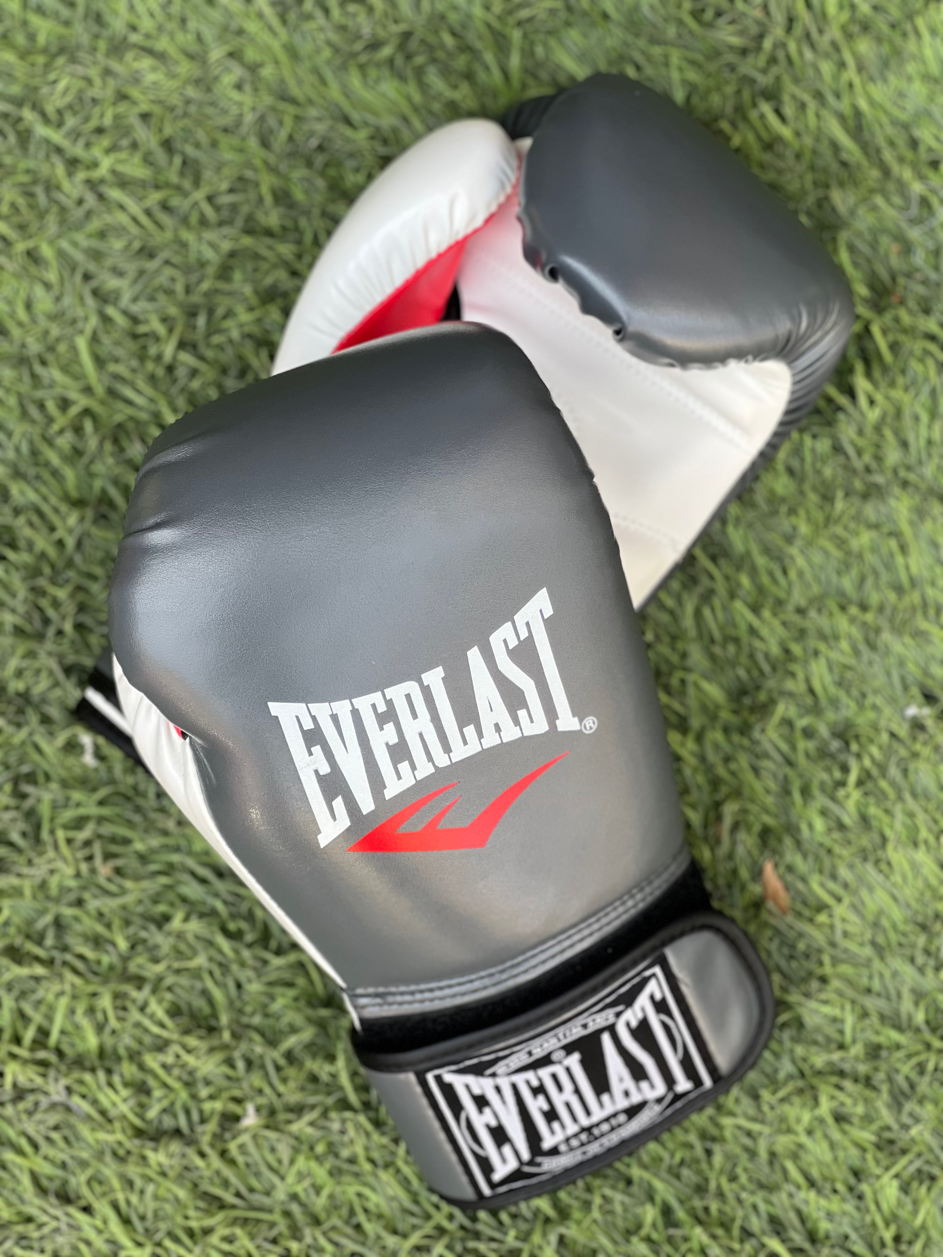 Gant De Boxe Everlast